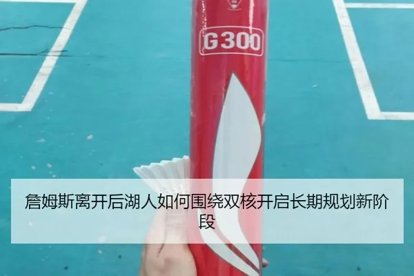 詹姆斯离开后湖人如何围绕双核开启长期规划新阶段（WukongSports）